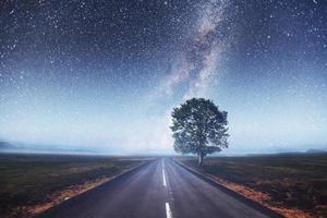 strada asfaltata e albero solitario sotto un cielo stellato foto