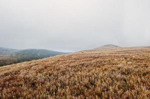 grandi colline al mattino ghiacciato sulla nebbia sulle montagne dei Carpazi foto