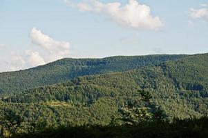 vista della cresta delle montagne dei Carpazi sull'Ucraina occidentale foto