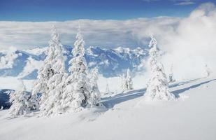 misterioso paesaggio invernale montagne maestose in . magica foto