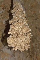 stalattite di popcorn delle caverne foto