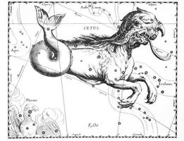 costellazione astronomica della balena su sfondo bianco foto