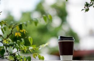 una tazza di caffè viene posta nelle mani e nel pavimento con una rom d'assedio verde naturale. zona mangiare caffè al lavoro tazza di caffè bianco foto