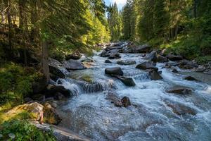 Vista sul fiume o sul torrente nel parco naturale di paneveggio pale di san martino in tonadico, trentino, italia foto