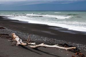 Driftwood sulla spiaggia di rarangi in Nuova Zelanda foto