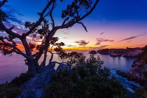 sunrise at te pare point in nuova zelanda foto