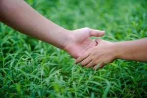 le mani e la natura amano l'amore luminoso devono darsi amore e bellezza l'un l'altro in modo naturale. foto