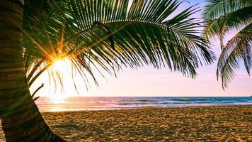 spiaggia vacanze autunnali concetto sfondo natura cornice con palme da cocco sulla spiaggia con luce solare bagliore bellissimo tramonto o alba paesaggio sfondo foto