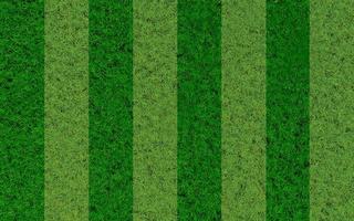 alternare i colori dell'erba del campo da calcio.. vista dall'alto freschi prati verdi per sfondo, sfondo o sfondo. le pianure e le erbe di varie dimensioni sono pulite e ordinate. rendering 3D foto