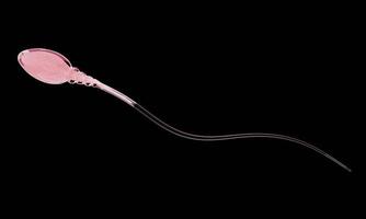 da vicino simula lo sperma per la riproduzione umana la sua testa è snella, ovale e ha una lunga coda, pelle chiara, nucleo visibile. rendering 3D foto