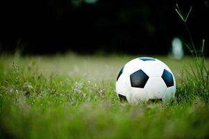 la palla sull'erba nel campo verde sul campo di calcio pronta per il rigore. e inizia a giocare a calcio seriamente. foto