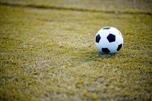 palla sul prato in un campo giallo sul campo di calcio pronto per la punizione. e inizia attivamente il calcio foto