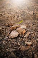 terra, terra, sfondo marrone agricoltura biologica vicino alla natura, la consistenza dell'ambiente fango sul terreno che può coltivare colture. agricolo il contadino agricoltore foto