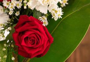 una grande rosa rossa in un bouquet. piccoli fiori bianchi circondati da rose rosse e sullo sfondo ci sono fresche foglie verdi. foto