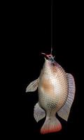 una canna da pesca ha dei lombrichi attaccati. per pesci da richiamo. pescare con l'amo. la tilapia sta per mangiare il lombrico attaccato all'amo. rendering 3D foto