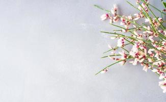 primavera pasqua scopa floreale minimal color pastello sfondo con spazio per la copia. vista dall'alto. donna San Valentino biglietto di auguri per la festa della mamma foto