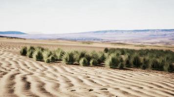 bella duna di sabbia giallo arancio nel deserto nell'Asia centrale foto