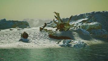 scogliere di pietra e sabbia di broun sulla costa dell'oceano foto