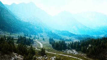 strada tortuosa in montagna con pineta foto