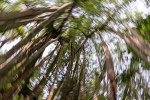 effetto spinning nella foresta pluviale malese. foto