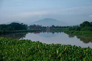 scenario verde al fiume con riflesso della collina. foto