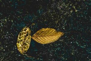 l'immagine delle foglie gialle sotto l'acqua che scorre attraverso il concetto naturale con lo spazio della copia foto