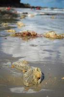 inquinamento e immondizia sulla spiaggia da parte delle persone foto