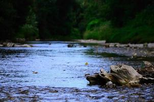 tronco d'albero nel torrente foto