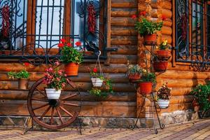 carrello a ruota con vasi di fiori foto