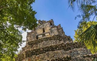 antico sito maya con rovine di templi piramidi manufatti muyil messico. foto