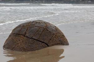 massi moeraki alla spiaggia di koekohe sulla costa di otago della nuova zelanda foto