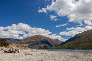 legni sulla riva del lago wanaka foto