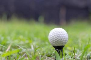 pallina da golf su erba verde sfocata foto