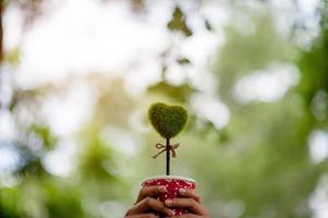 belle immagini verdi della mano e del cuore concetto di San Valentino con lo spazio della copia foto