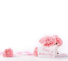bei garofani rosa baby in fiore in un vaso bianco isolato su sfondo luminoso, festa della mamma saluto mamma idee concetto fotografia, primo piano, copia spazio, mock up foto