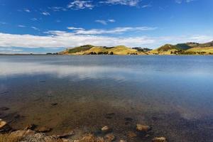 la penisola di otago vicino a dunedin in nuova zelanda foto