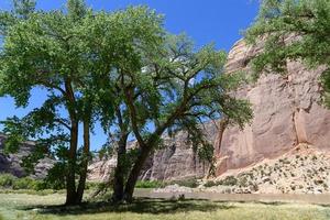 la bellezza paesaggistica del Colorado. roccia del battello a vapore sul fiume yampa nel monumento nazionale dei dinosauri foto