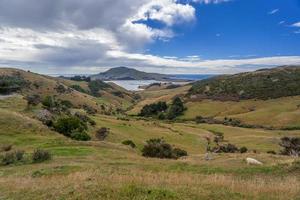 la penisola di otago in Nuova Zelanda foto