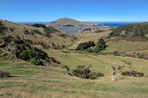 vista panoramica sulla campagna della penisola di otago foto