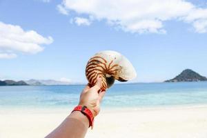 mano che tiene guscio di granchio eremita vuoto con sfondo sfocato della spiaggia per lo sfondo estivo foto