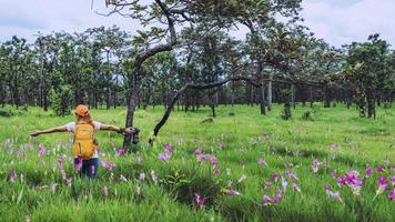 natura di viaggio donna asiatica. viaggiare rilassati. fotografia campo di fiori di cetriolo sessilis. foto