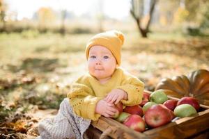 bambina felice con un cesto di mele all'aperto nel parco autunnale foto