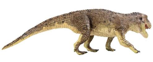 dinosauro postosuchus su sfondo isolato. foto