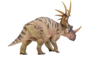 dinosauro styracosaurus su sfondo isolato foto