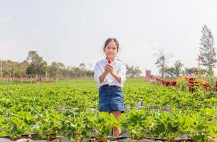 bambina felice che tiene fragole organiche rosse fresche nel giardino foto