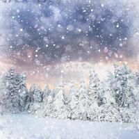 magico albero innevato d'inverno, sfondo con un leggero sballo foto