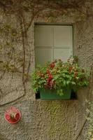 accogliente finestra di cottage italiano vintage con fiori che sbocciano foto