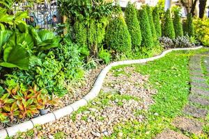 gli alberi decorano il giardino lungo il marciapiede foto