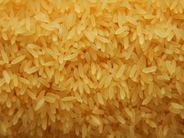 ripieno di chicchi di riso giallo