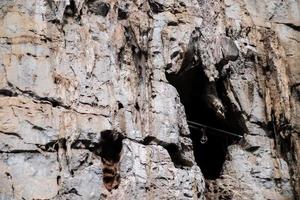 ingresso della grotta del pipistrello sulla scogliera della montagna rocciosa. foto